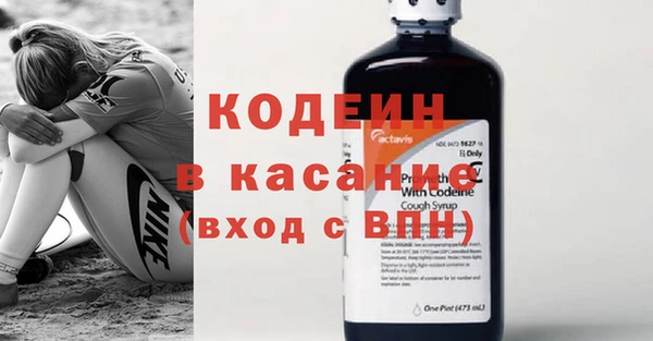 шишки Переславль-Залесский