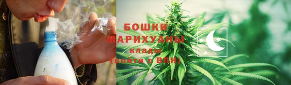 стаф Гусев