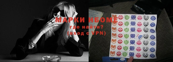 шишки Переславль-Залесский