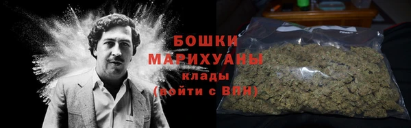 дмт Пересвет