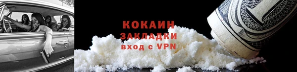 шишки Переславль-Залесский