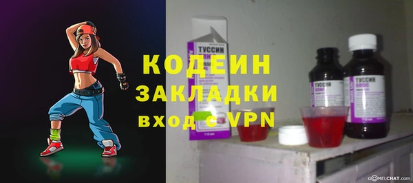 дмт Пересвет