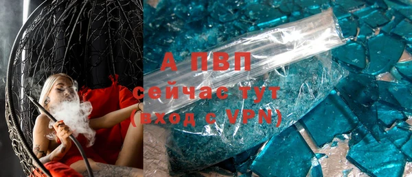 дмт Пересвет
