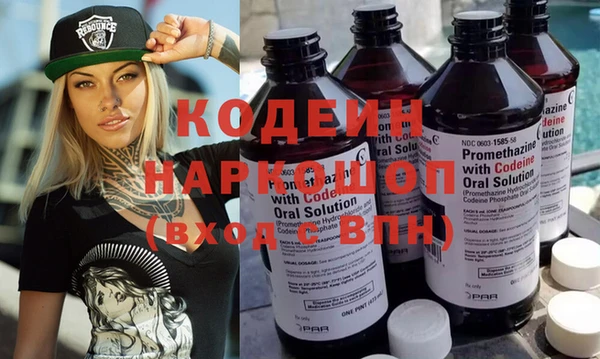 дмт Пересвет