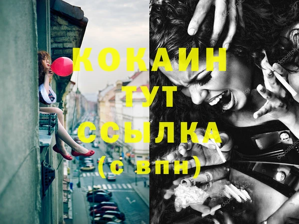 СК Гусь-Хрустальный