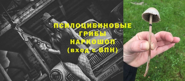 дмт Пересвет