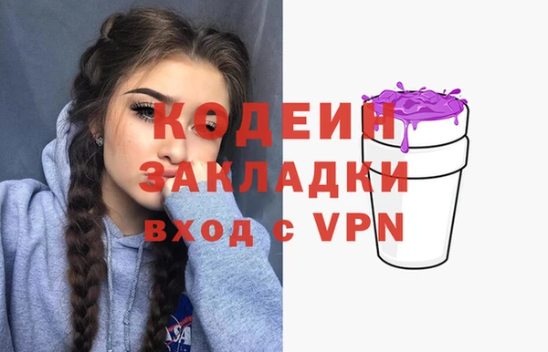 шишки Переславль-Залесский