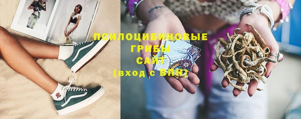 тгк Пестово