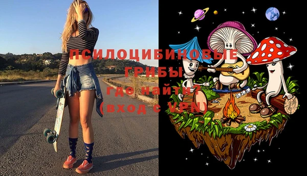 дмт Пересвет